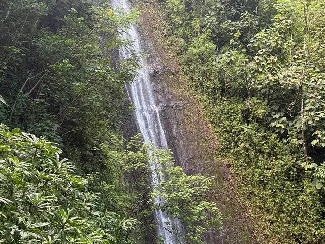 A close-up view of a waterfall cascading down a rocky cliff amidst lush green foliage.