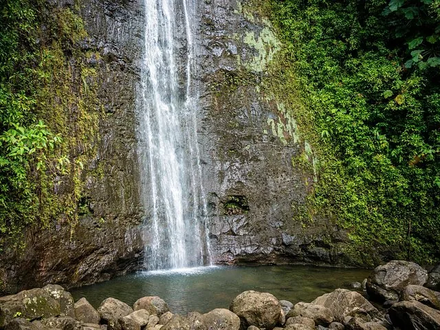 A tall, narrow waterfall cascades down a rocky cliff into a pool.
