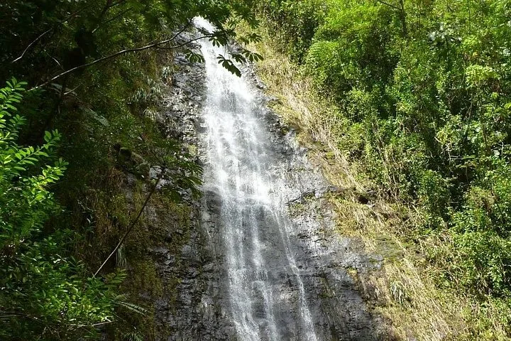 A tall waterfall cascading down a rocky cliff face amidst lush green vegetation.