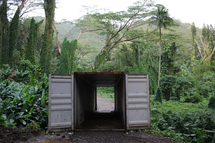 Un conteneur de transport ouvert se trouve sur un chemin de terre dans une forêt luxuriante.