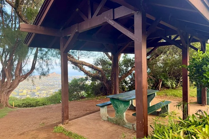 Un kiosque en bois avec une table de pique-nique verte offrant une vue pittoresque sur une ville.