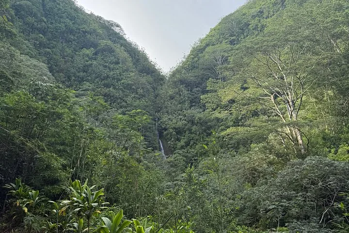Ein Fernblick auf einen dünnen Wasserfall, der einen steilen, dicht bewaldeten Talhang hinabfließt.